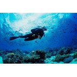 Tarkarli Scuba Diving