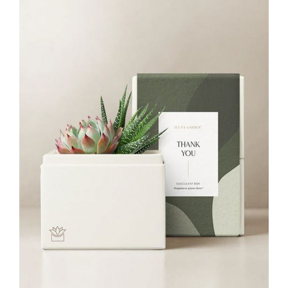 Thank You Glow Garden