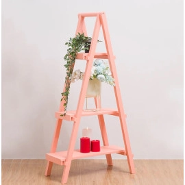 Pink Bookshelf Ladder