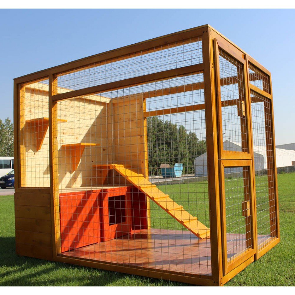 Cat House with Play Area