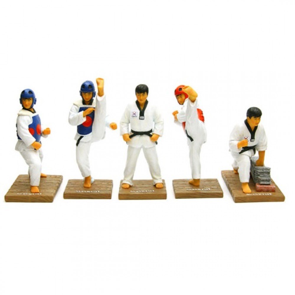 Taekwondo Adults Full Set