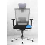 Stylux Ergo Chair