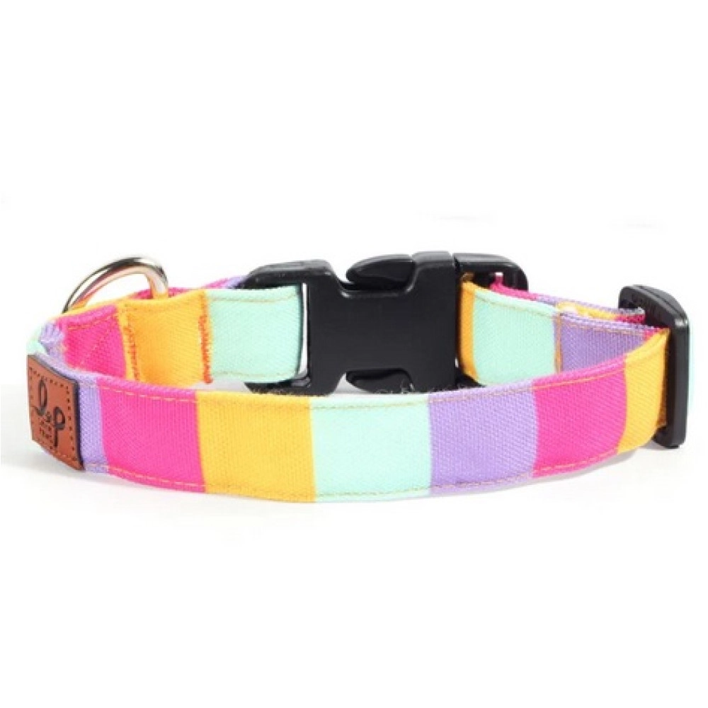 Dog Collar Neck Belt - Colour Pop
