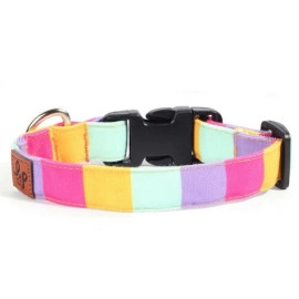 Dog Collar Neck Belt - Colour Pop