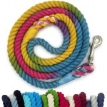  Sier 5ft Ombre Rope Dog Leash Braided Cotton Heavy Duty Strong Durable Multi-Colored (Rainbow Tie Dye)